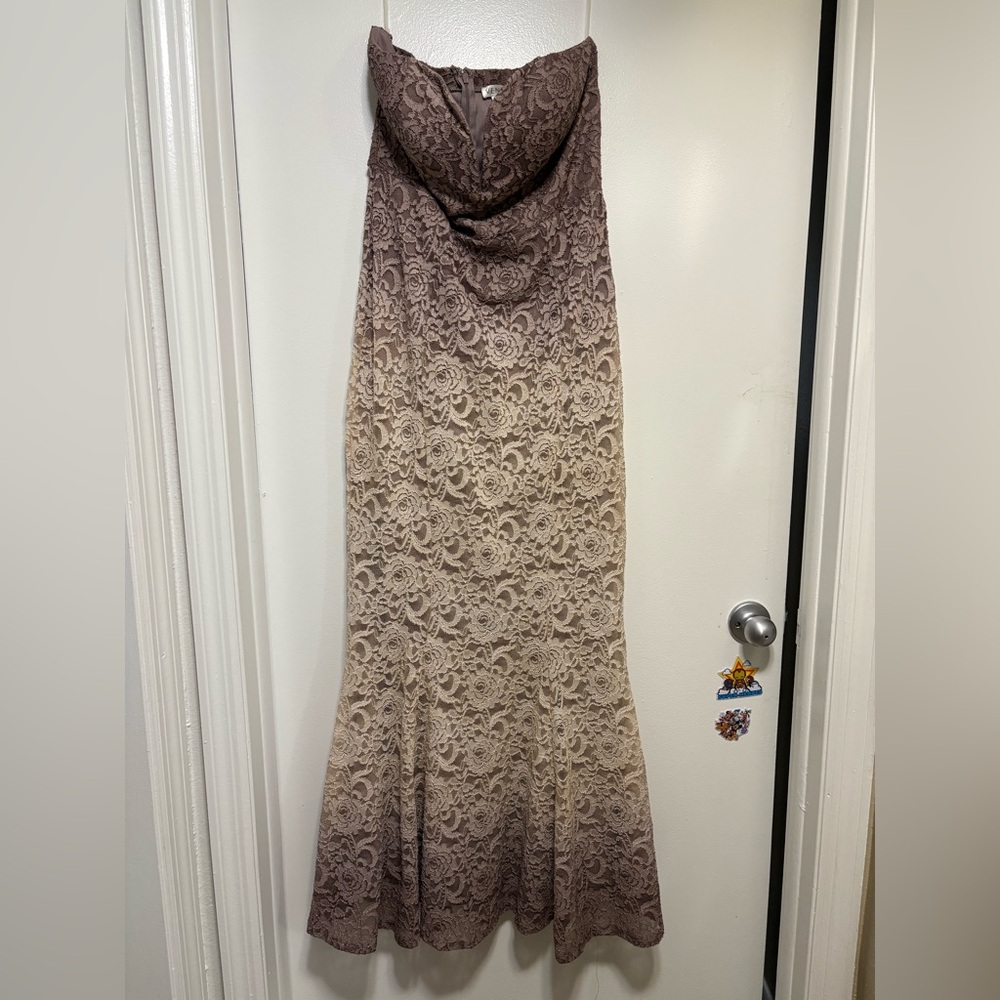 VENUS Taupe Lace Gown